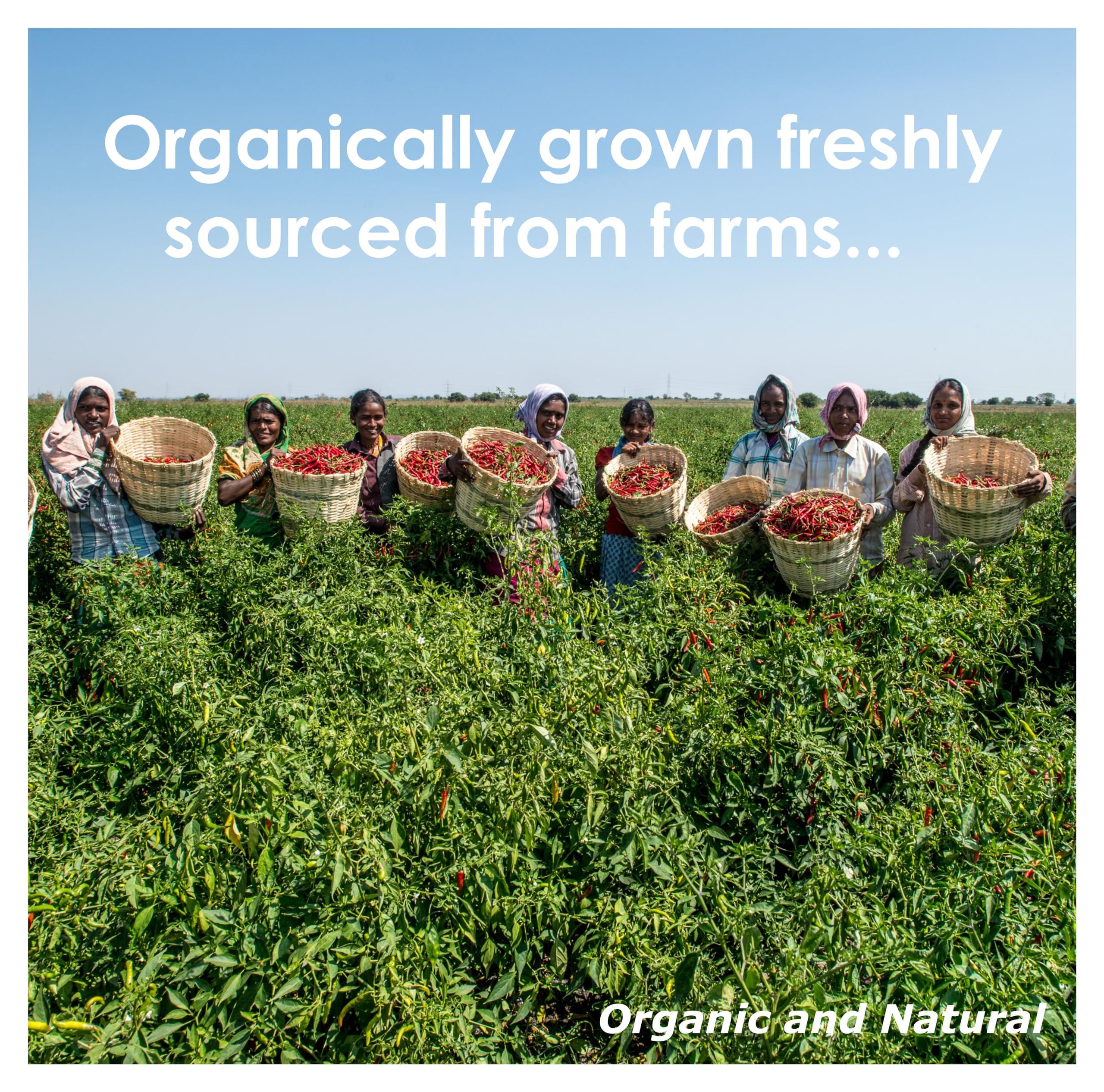 Blessfull Healing Blessfull Healing Organic Chilli Pepper 100 Gram