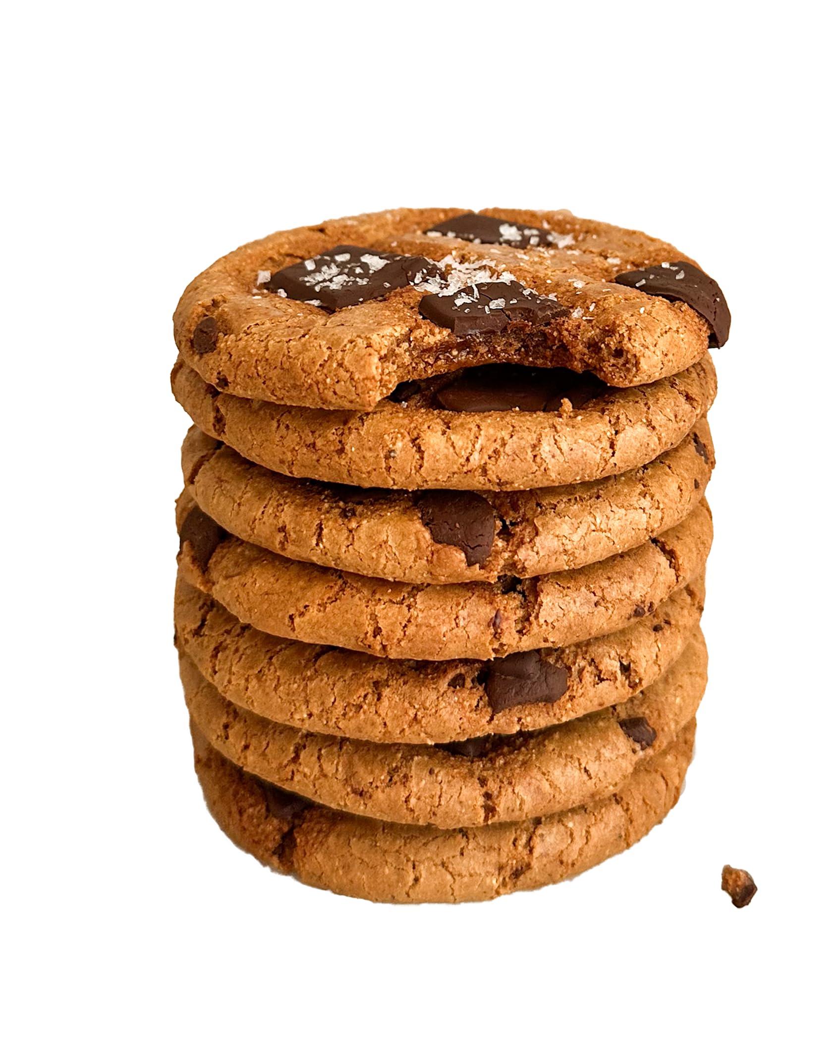 Nowhere Bakery NOWHERE BAKERY Vegan Gluten Free Paleo Chocolate Chip Cookie Baking Mix (Makes 15 cookies) - Allergen Friendly, Nut Free No Refined Sugar 11 OZ Bag