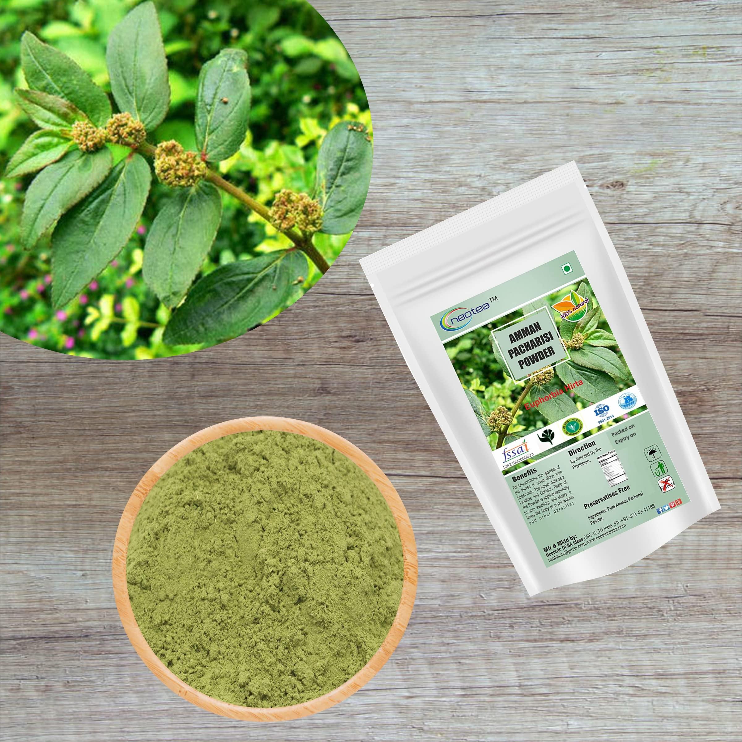 neotea neotea Amman Pacharisi | Euphorbia Hirta Powder 300 GM (10.58 OZ) Pack of 1 | Premium Quality Herbal Supplement | 100% Pure and Natural
