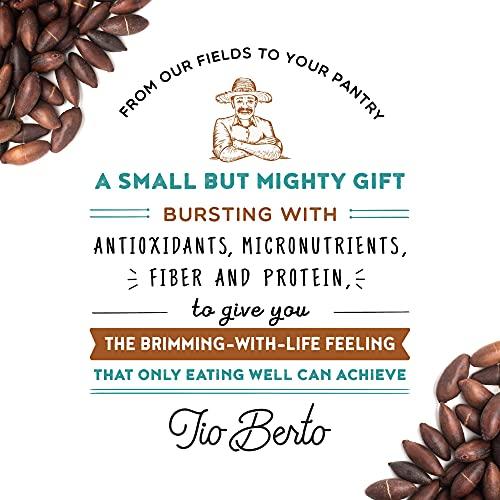Tio Berto Baru Nuts Roasted, 10 oz Resealable Bag | Crunchy and Delicious | Suitable for Vegan, Gluten Free, Keto, Peanut Free Diets | High Protein Snacks | Premium Wild Supernuts | Healthy Snacks by Tio Berto
