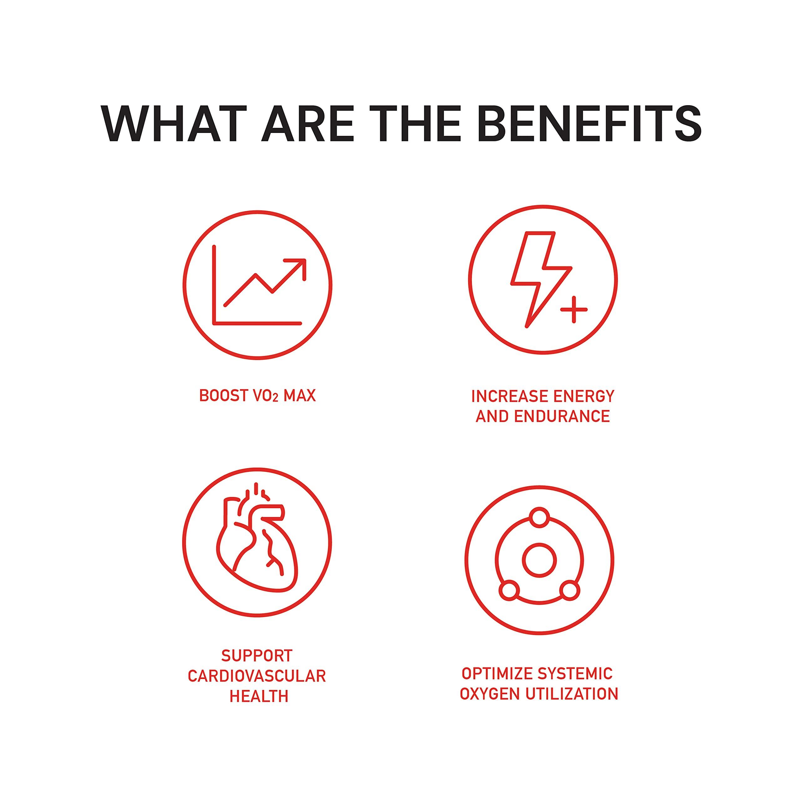 Novex Biotech Novex Biotech Oxydrene NAD+ Enhancer - Natural Supplement Promoting Metabolism and Cardiovascular Support for Men and Women - (60 Capsules)