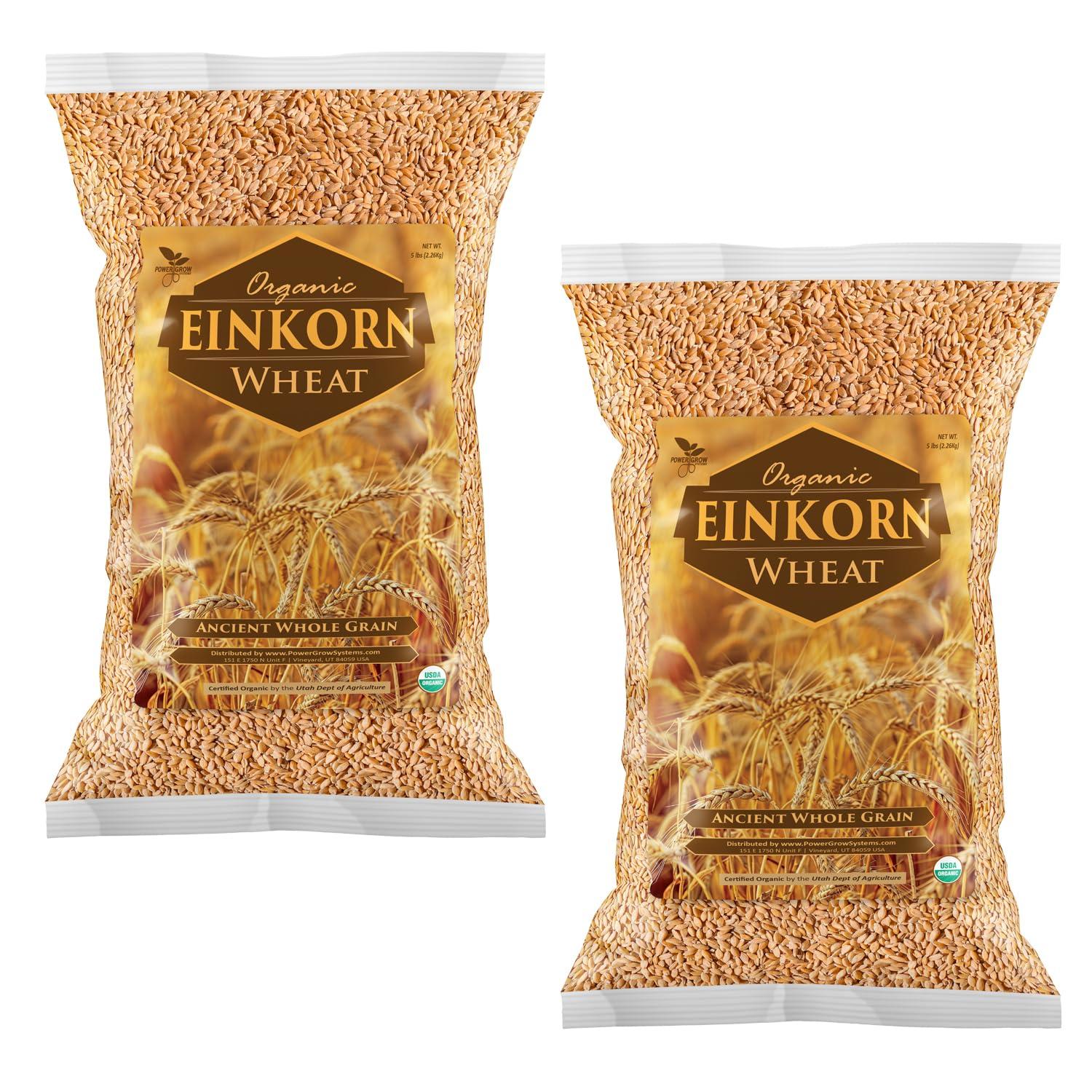 PowerGrow Systems Einkorn Wheat - 100% Certified Organic Einkorn Whole Wheat Grain by PowerGrow System - Use for Sourdough Baking, Milling Flour, Cereal, Salads, Pasta etc. (Einkorn Wheat (10 Pounds))