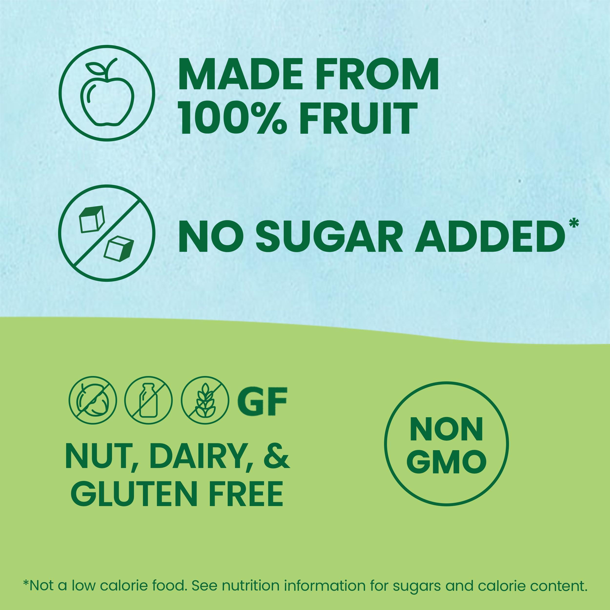 GoGo SqueeZ GoGo squeeZ Applesauce and Fruit Puree, Apple Apple, 3.2 oz (Pack of 18), Unsweetened Fruit Snacks for Kids, Gluten Free, Nut Free and Dairy Free, Recloseable Cap, BPA Free Pouches