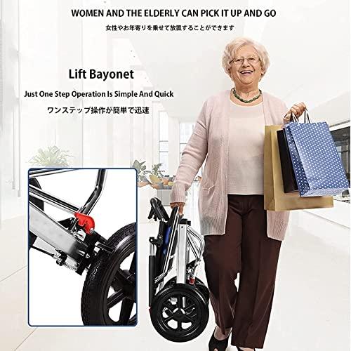 BLOHDI BLOHDI Folding Wheelchair, Ultra Lightweight Folding Wheelchair, Aluminium Alloy Portable Transport Wheelchair Trolleys for Elderly Aircraft Travel