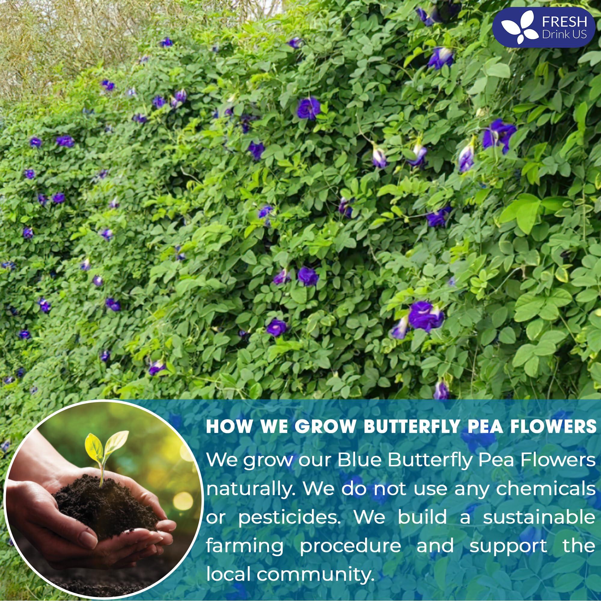 FRESHDRINKUS FreshDrinkUS, Premium 6.5oz Butterfly Pea Flower Powder, 100% Natural and Pure from Blue Butterfly Pea Flowers, Natural Food Coloring, Butterfly Pea Flower Tea, No Additives, No Gluten, No Sugar, Vegan