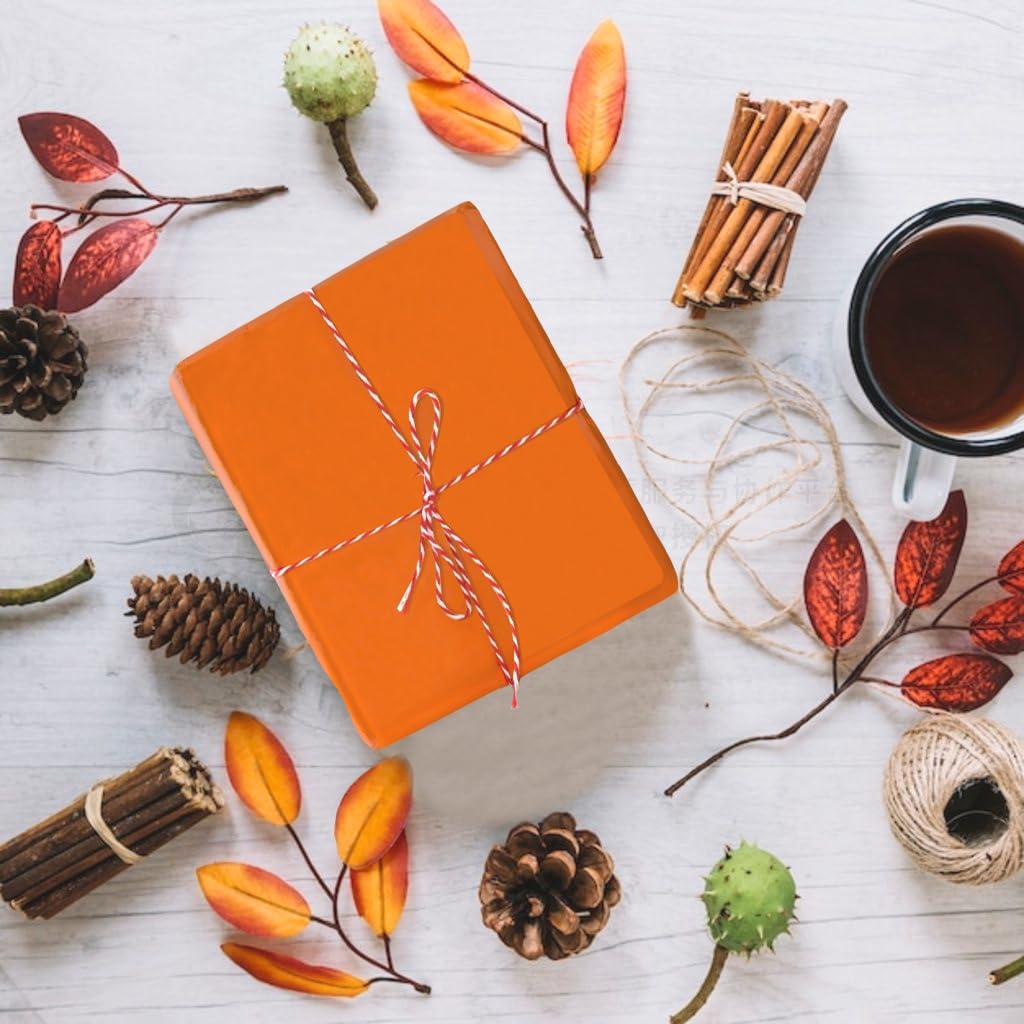 Hlonon 30 Sheets Orange Tissue Paper for Packaging Gift Bags Decoration, Gift Wrap Tissue Paper Bulk for Weddings Birthday DIY Project Christmas Halloween Thanksgiving Gift Wrapping Crafts Decor