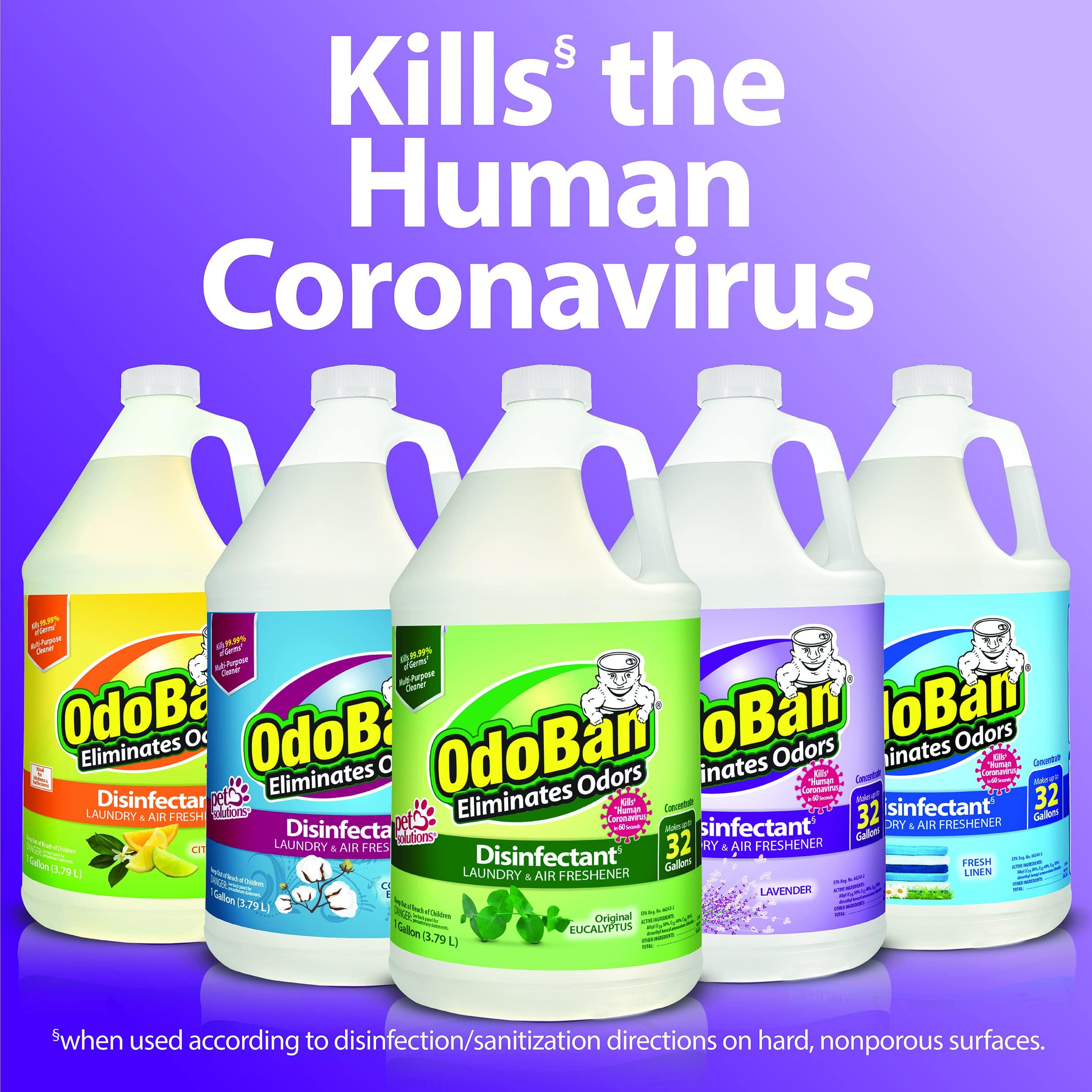 OdoBan OdoBan Disinfectant Concentrate and Odor Eliminator, 1 Gallon, Fresh Linen Scent
