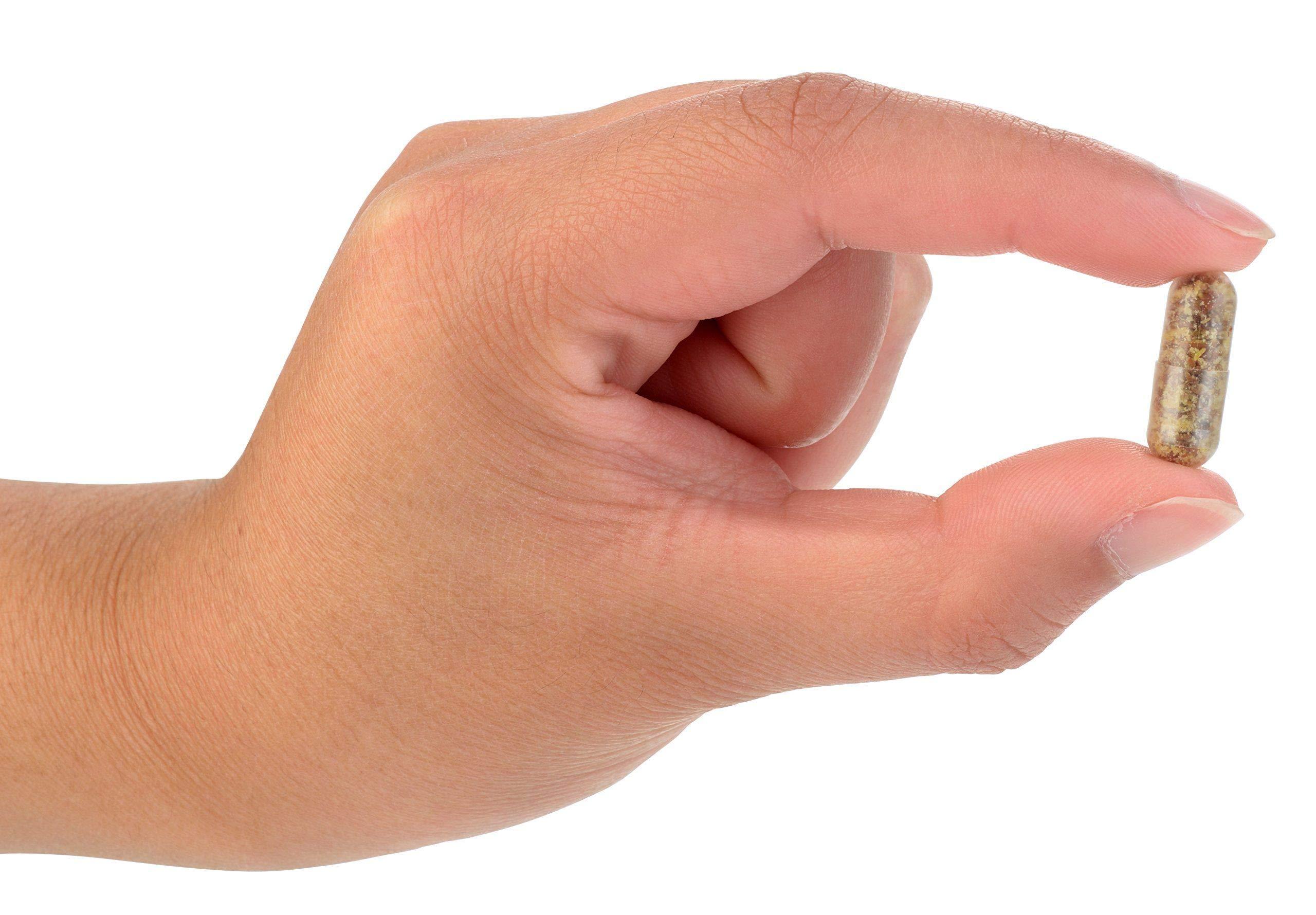 General Biotics Equilibrium Probiotic Supplement with Prebiotic  Daily Time Release  30 Easy to Swallow Capsules  Highest Strain Count in The World  115-Strains