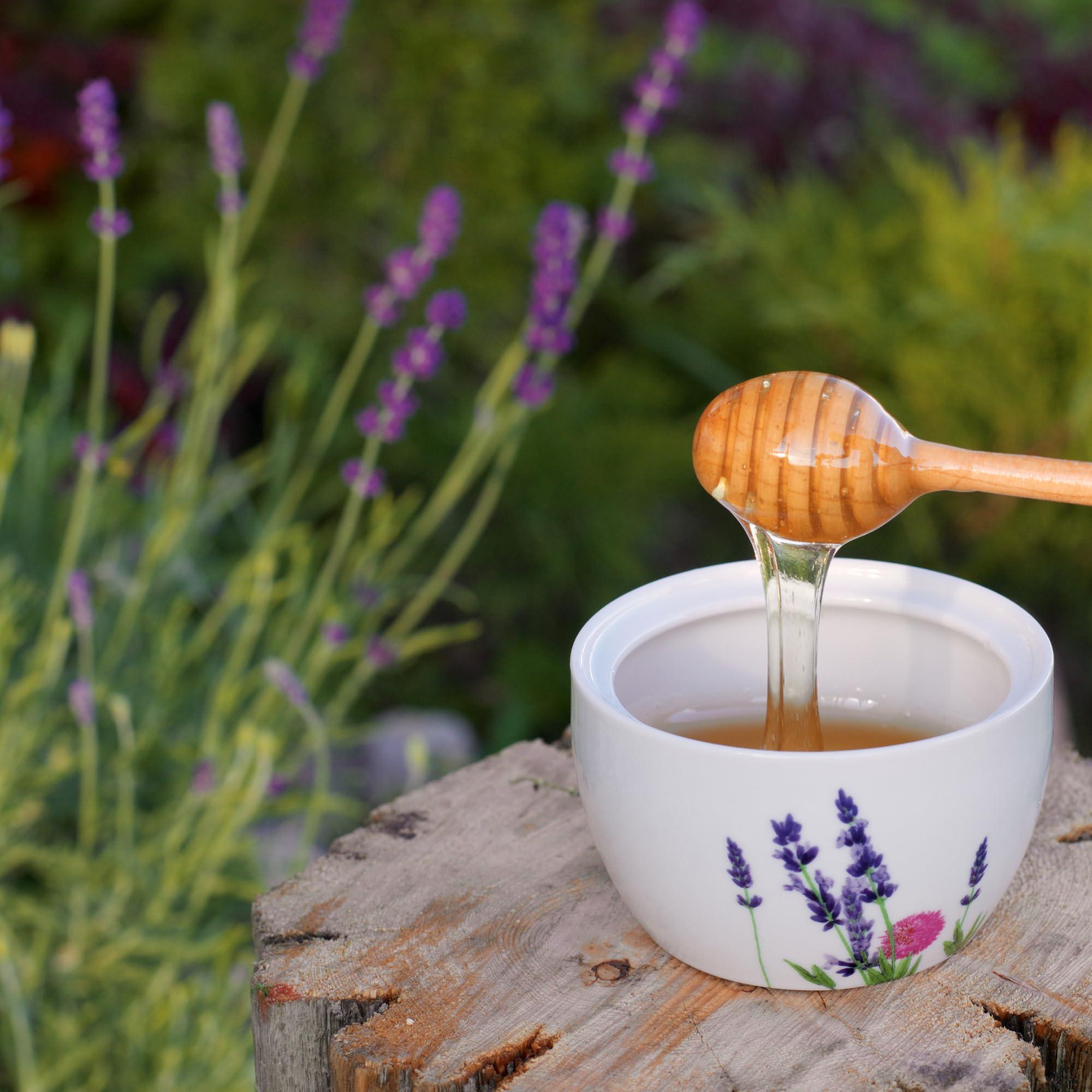 Arvoli Raw Honey 1 Gallon - Honey Bulk 12 LB Jug - Raw Wildflower Bulk Honey