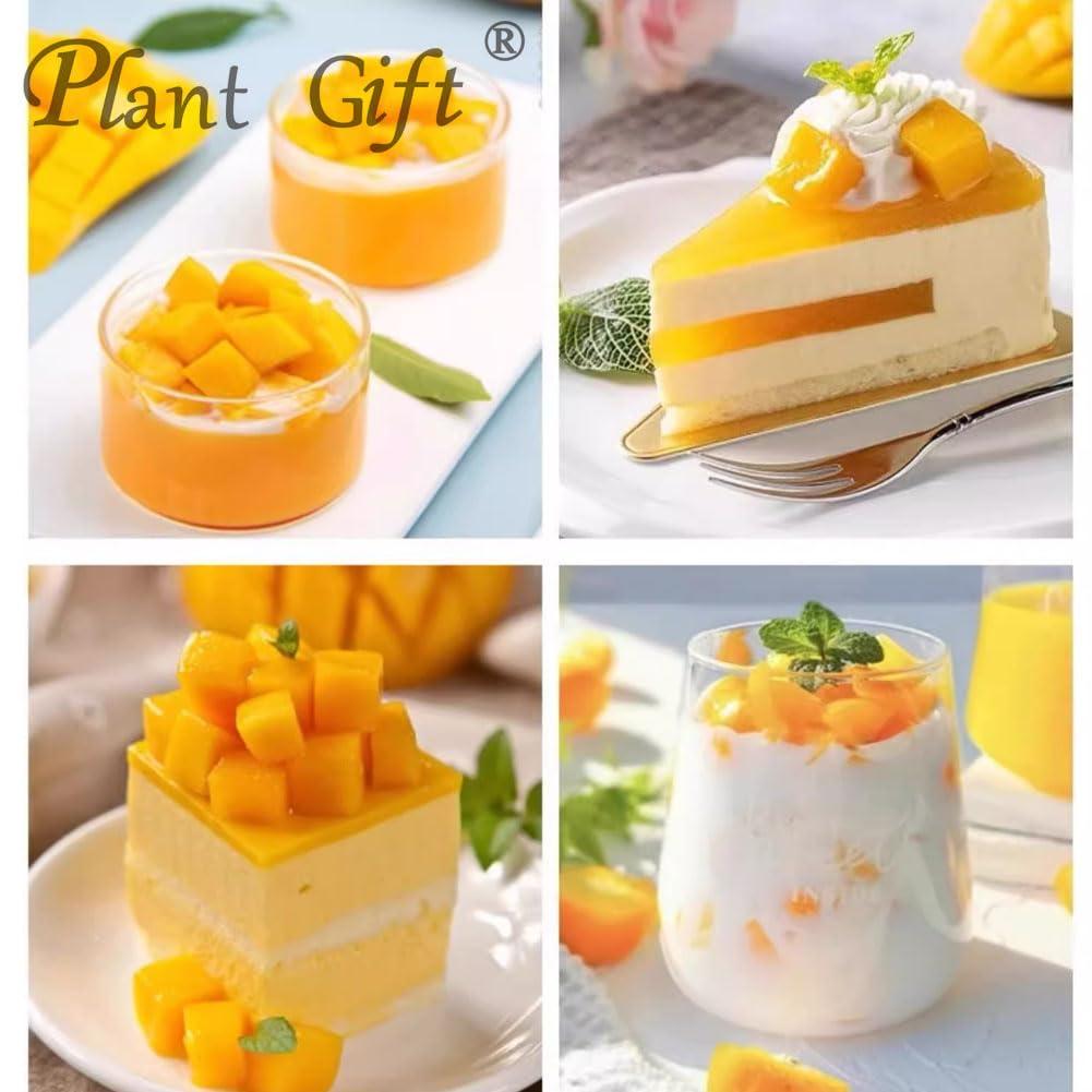 Plant Gift 100% Natural Pure Mango Powder 100g/3.52oz Mango Powder for Smoothies, Shakes, Baking & Drinks,| Free from Preservatives, No Added Sugar