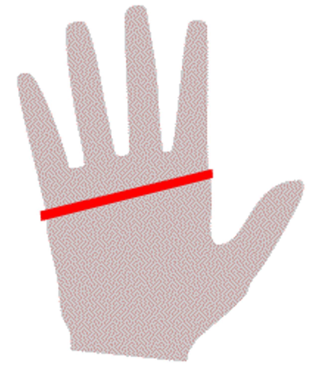 Latexa Premium Latex Long Gloves (Opera Length) Fetish - White (Large - Washed & Shined)