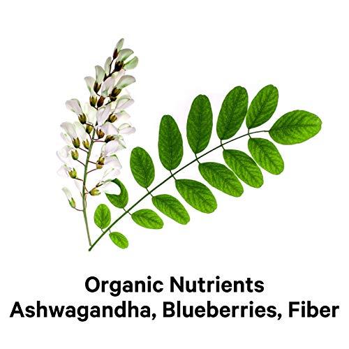 Amen Amen Mood Probiotic Supplement 51 Billion CFU - Organic Prebiotics and Probiotics - Acidophilus Probiotic Pills, Fibers - Mood Organic Ashwagandha, Blueberries - Vegan & Non-GMO - 60 Capsules