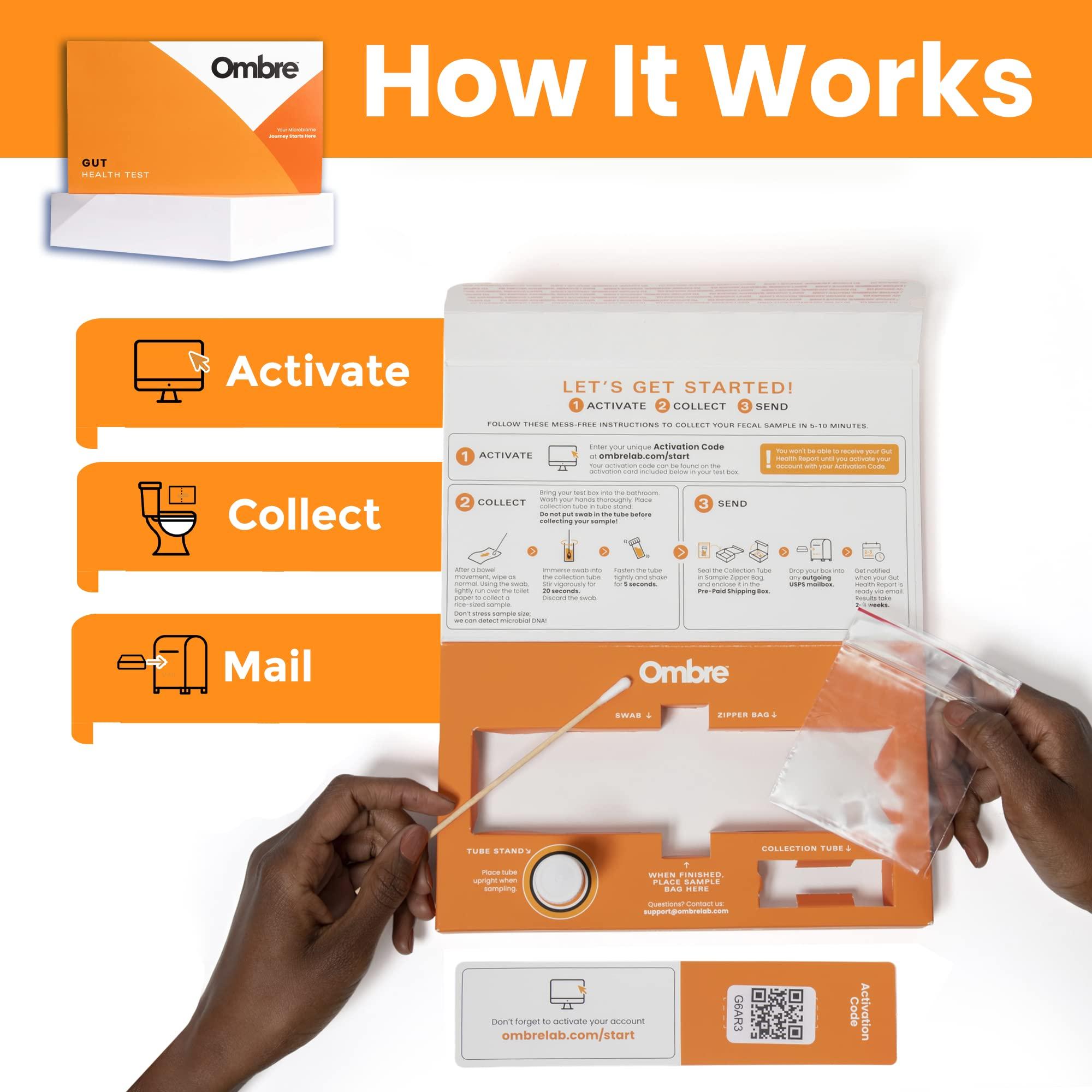 Ombre Ombre Gut Health Test Kit - Probiotic Recommender at Home Test for Women & Men - Detailed Custom Gut Microbiome Analysis for Digestive, Immune and Mental Health with Food Suggestions