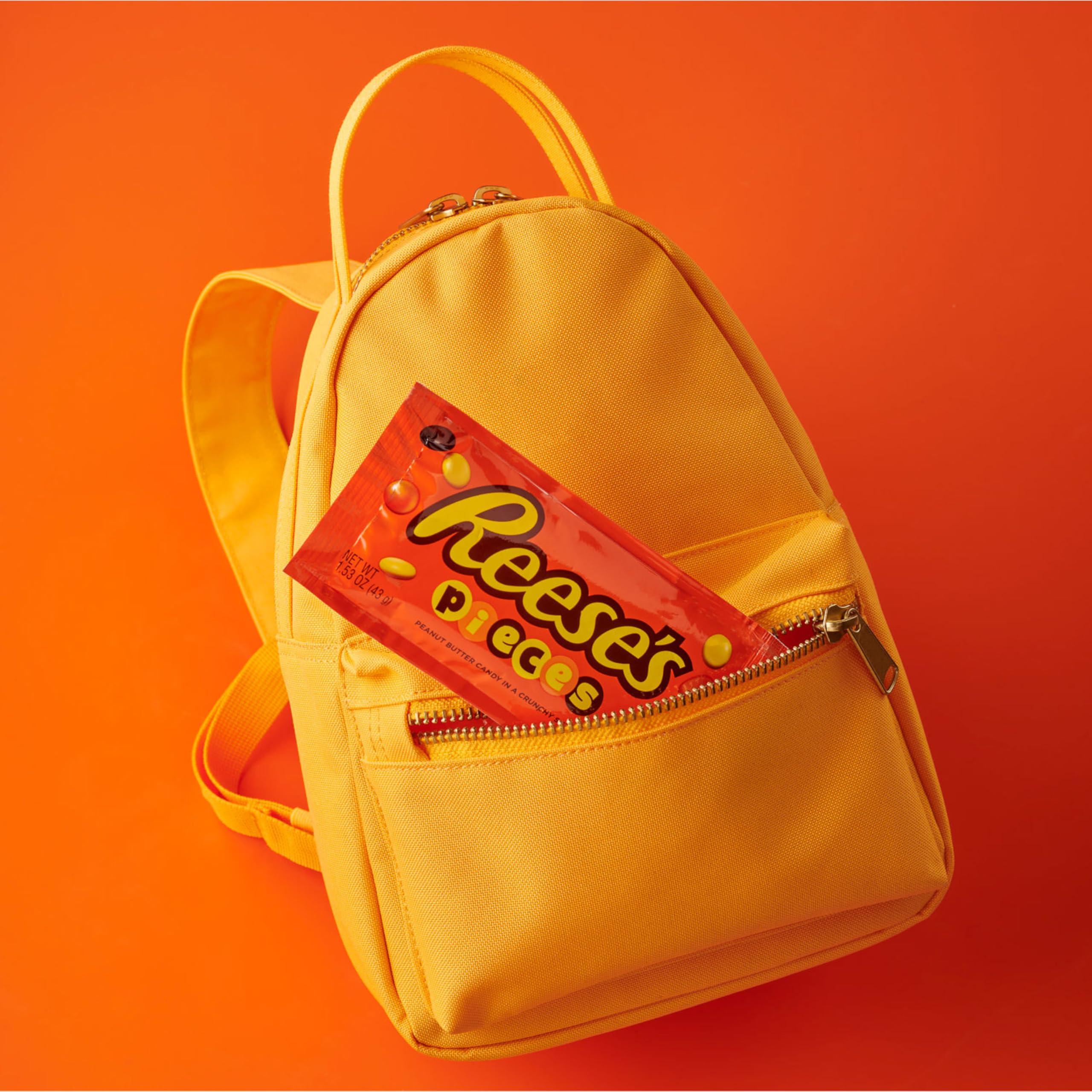 HERSHEY'S REESE\'S PIECES Peanut Butter Candy Bags, 1.53 oz (18 Count)