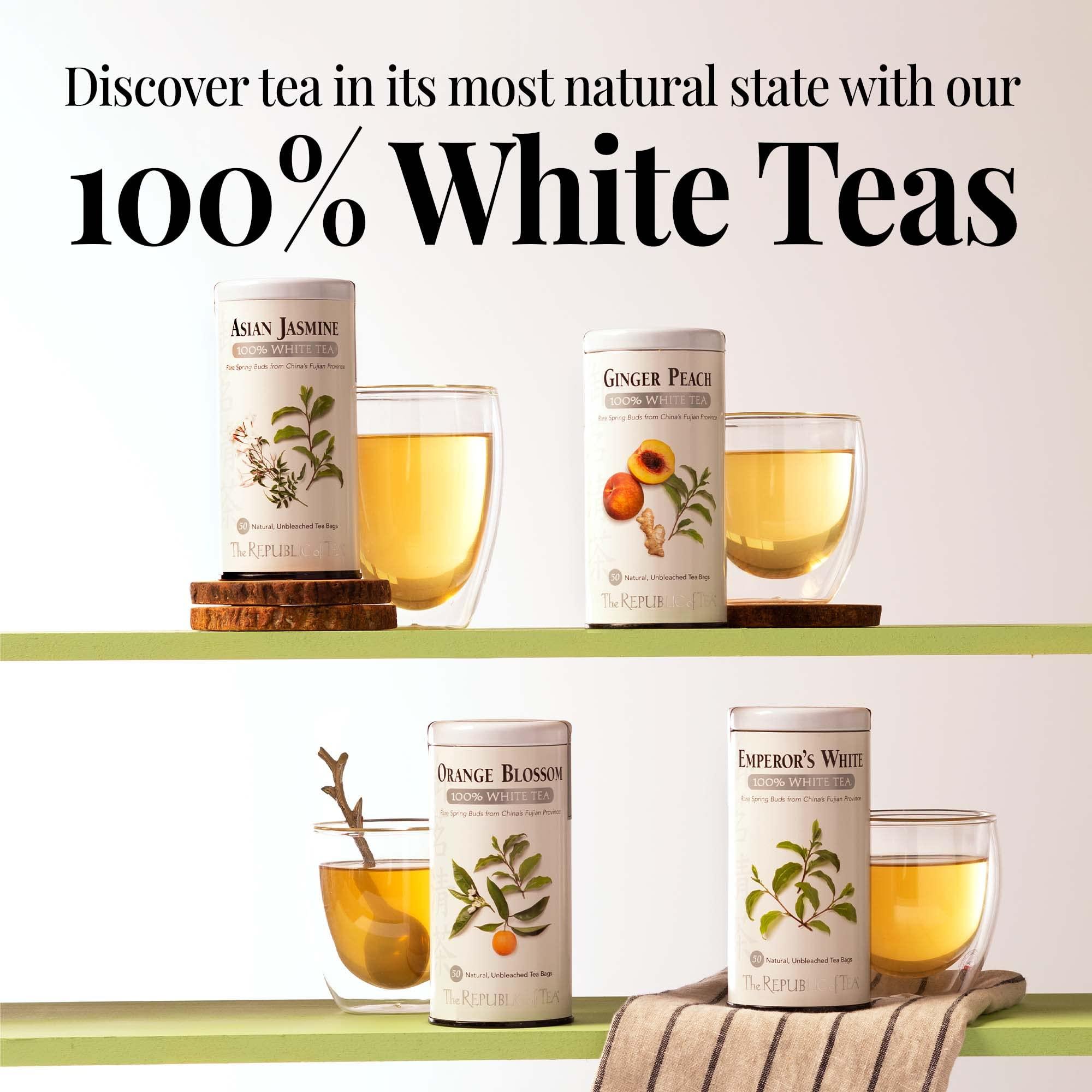 The Republic of Tea The Republic of Tea Asian Jasmine White Tea, Authentic 100% White Tea, Low Caffeine 250 Count