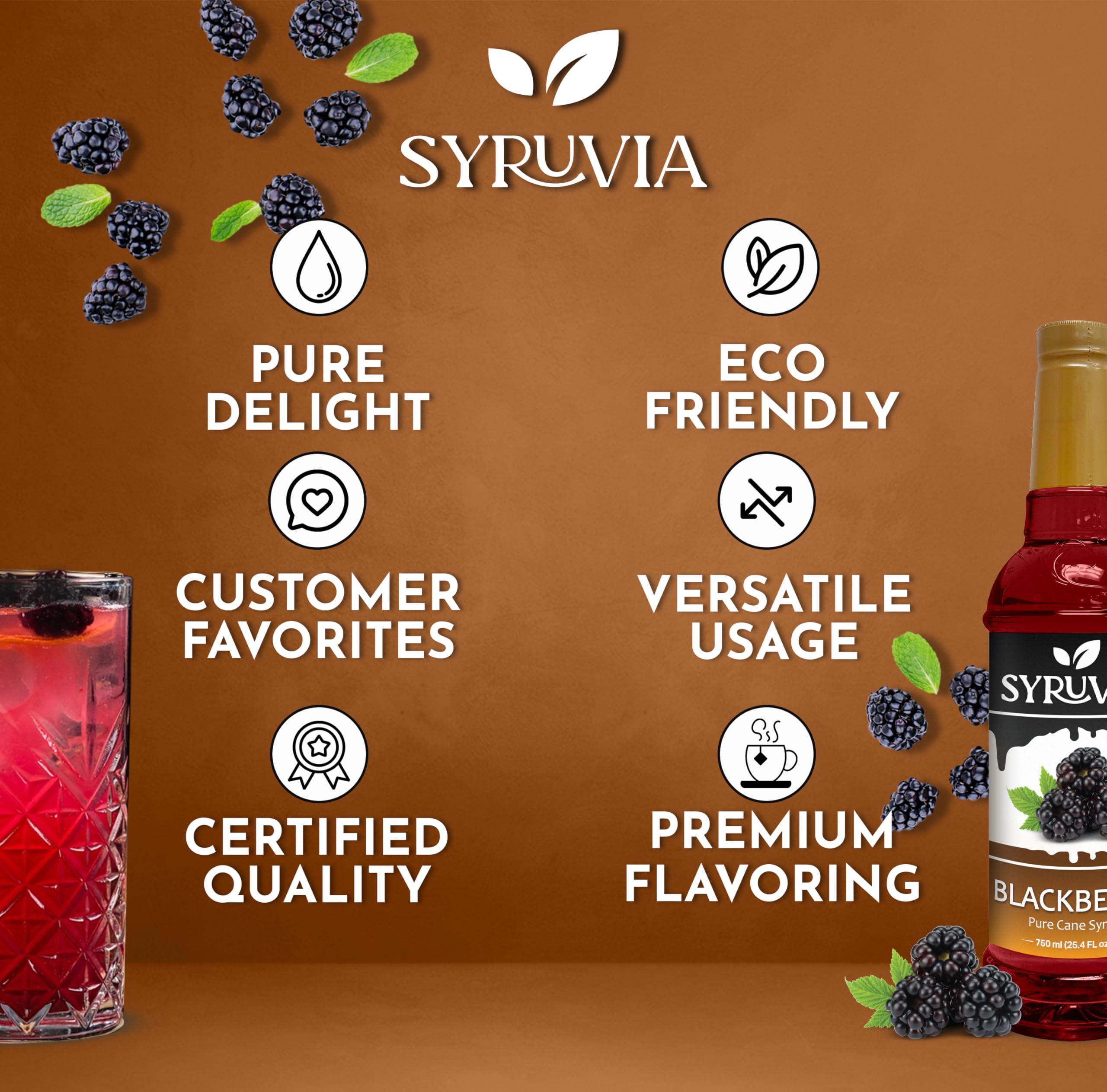 SYRUVIA Syruvia Blackberry Syrup Blackberry Syrup Flavor, 25.4 fl oz - Perfect for Cocktails, ice Tea, Desserts, Italian Sodas, Ice and More, Kosher and Gluten-Free With Syrup Pump