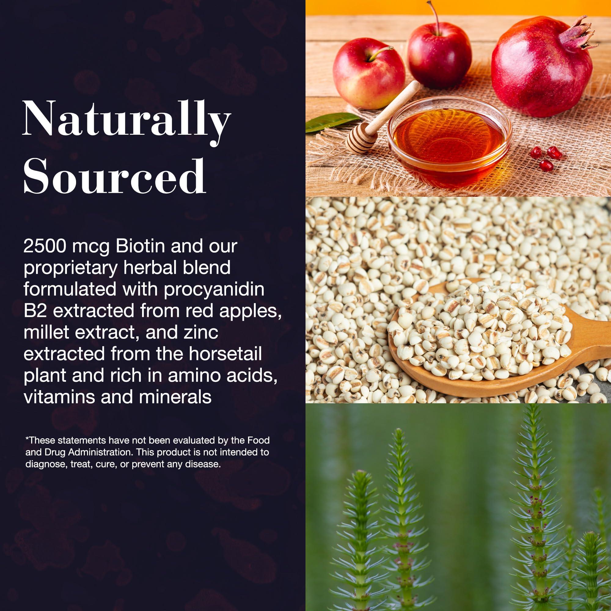 NEW NORDIC NEW NORDIC Hair Volume Gummies, 2500 mcg Biotin, Daily Hair Vitamins Supplement to Support Hair Skin & Nails, Vegan, 60 Count (Pack of 1)