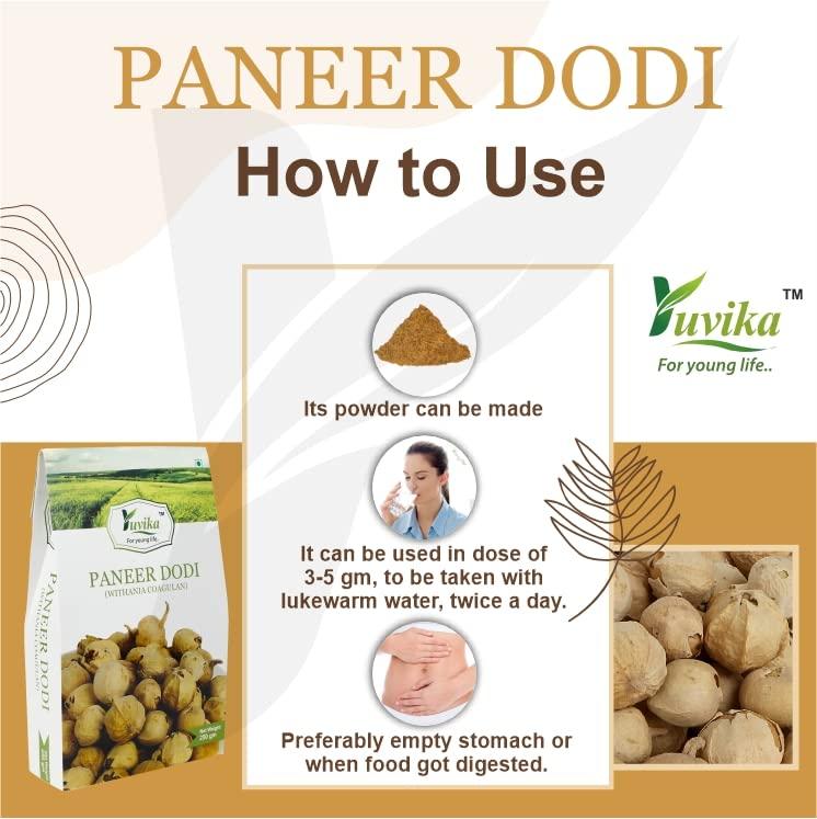 Yuvika YUVIKA Paneer DODI Powder | Paneer Doda Powder - Withania Coagulans (400 Grams)