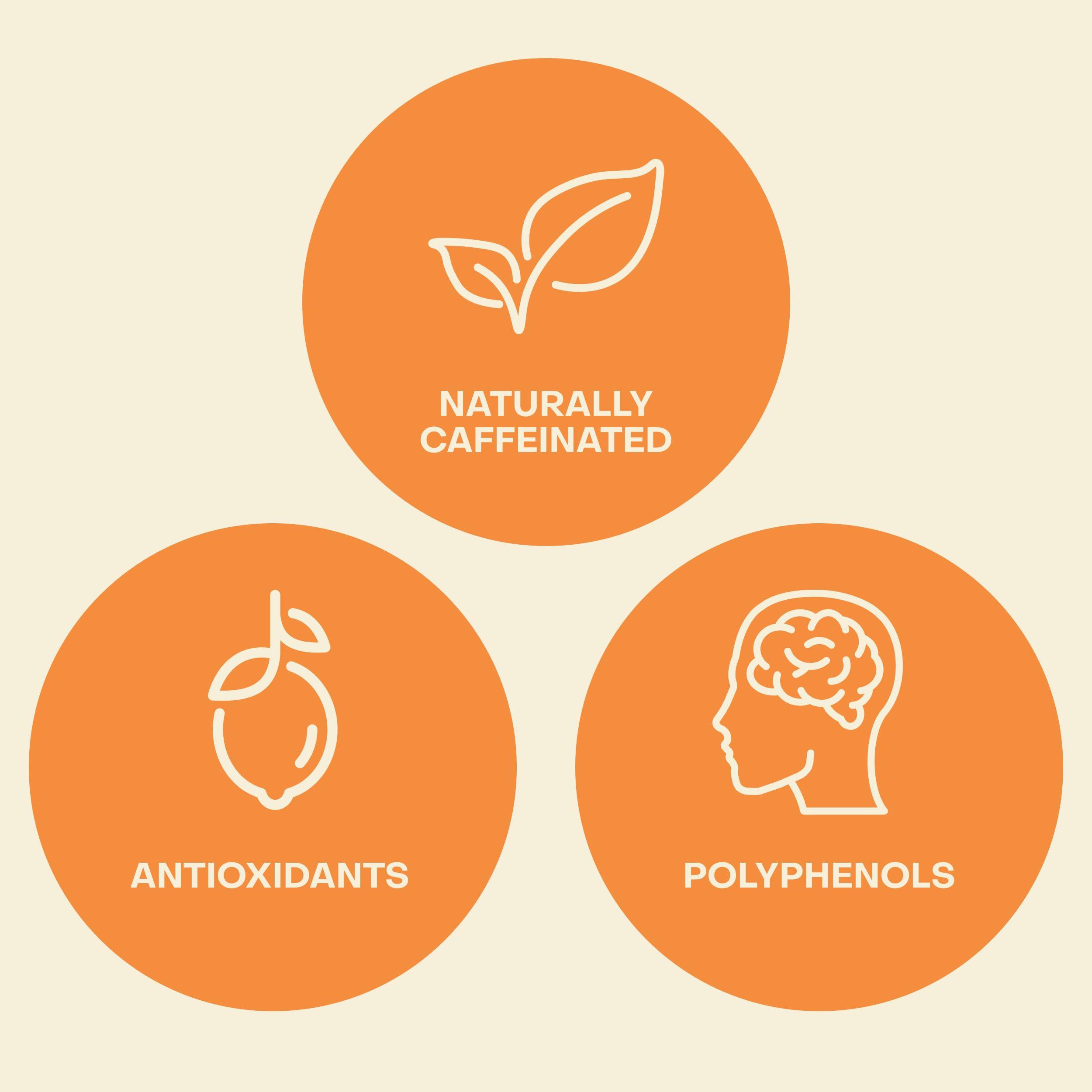 Saint James Iced Tea Saint James Iced Tea | Organic Black Tea | Organic, Non-GMO Black Tea, 12 Pack (16.9oz each) (Blood Orange)