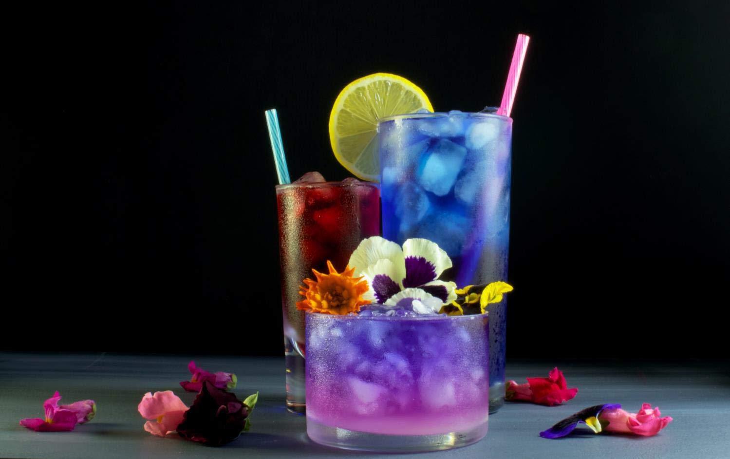 Wild Hibiscus Flowers in syrup B\'lure Flower Extract - 3.4 Fl Oz Bottle (Pack of 6)