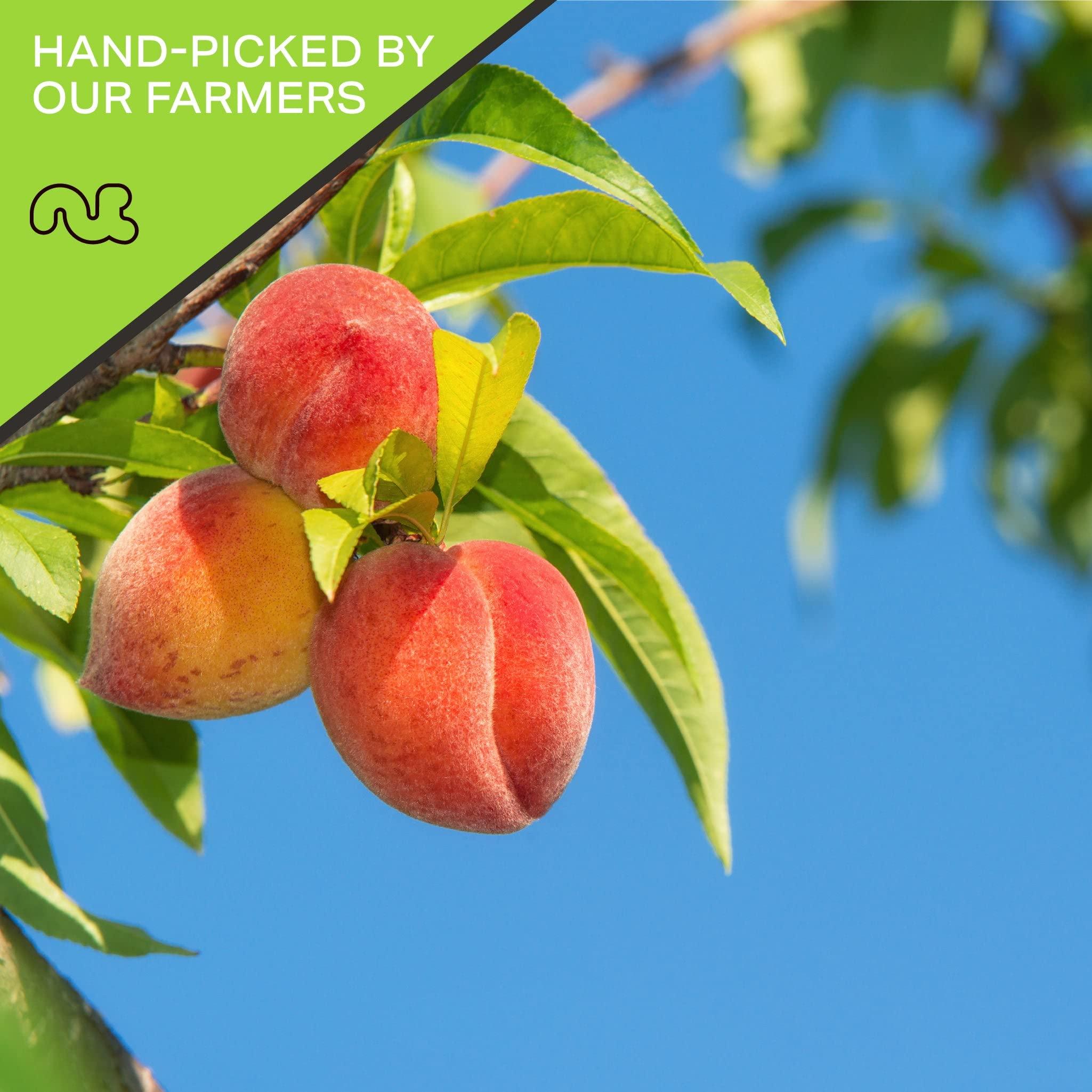 Nut Cravings NUT CRAVINGS Dry Fruits - Sun Dried California Peaches, No Sugar Added (16oz - 1 LB) Packed Fresh in Resealable Bag - Sweet Snack, Healthy Food, Naturally Grown, Vegan, Kosher Certified