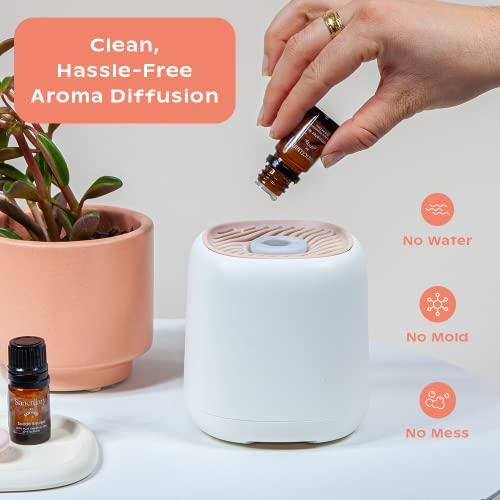 Canopy Canopy Bedside Diffuser, Pink Diffuser, Waterless Technology, Diffuses Up to 400 Sq Ft - 3 Fan Speeds - Includes Diffuser, Diffusion Well, Unwind Aroma, Power Cord & Adapter