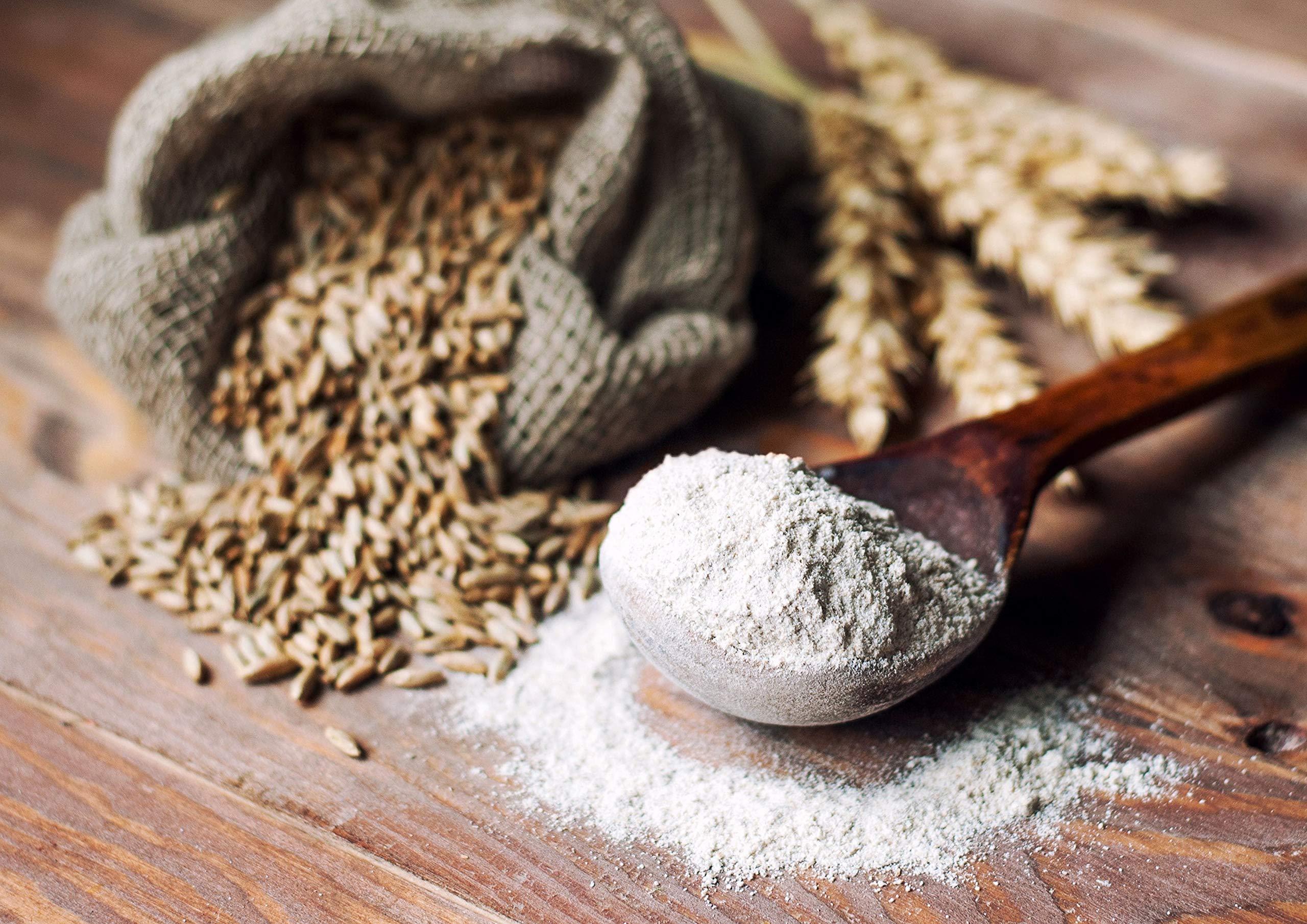 Food to Live Food to Live Rye Flour, 8 Pounds Stone Ground from Whole Grain Rye Berries, Kosher, Vegan, Bulk, Great for Bread Baking, Product of the USA