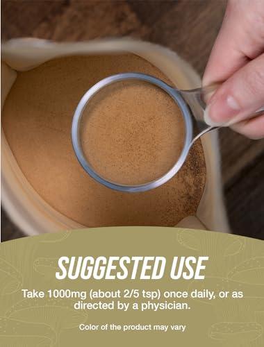 BULKSUPPLEMENTS.COM BulkSupplements.com Organic Lion\'s Mane Mushroom Extract Powder - Lions Mane Supplement Powder, Lion\'s Mane Extract - Mushroom Supplement, 1000mg per Serving, 1kg (2.2 lbs) (Pack of 1)