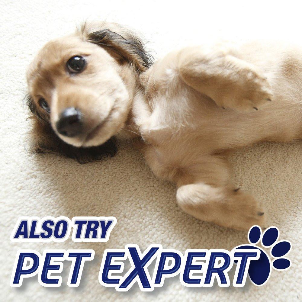 Resolve Resolve Dual Pack High Traffic Carpet Foam, 44 oz (2 Cans x 22 oz), Cleans Freshens Softens & Removes Stains