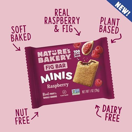 Nature\'s Bakery Nature\'s Bakery Fig Bar Minis, Raspberry, Whole Grain, Vegan Friendly, Kosher, Non-GMO, 10 Ounce (Pack of 6)