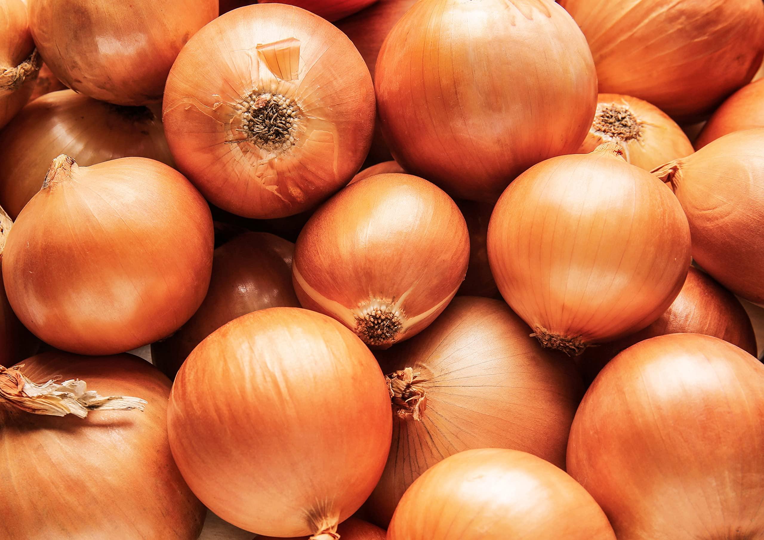 Food to Live Food to Live Onion Powder Finely Ground Dried Onions, Pure, Vegan, Bulk. Rich Onion Flavor. High in Vitamin C, Dietary Fiber. Great Seasoning for Cooking, and Baking. Perfect for Spice Blends