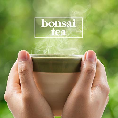 Bonsai Tea Co. Bonsai Tea Co. Green Tea, Compatible with K Cup Brewers Including 2.0, 40 Count