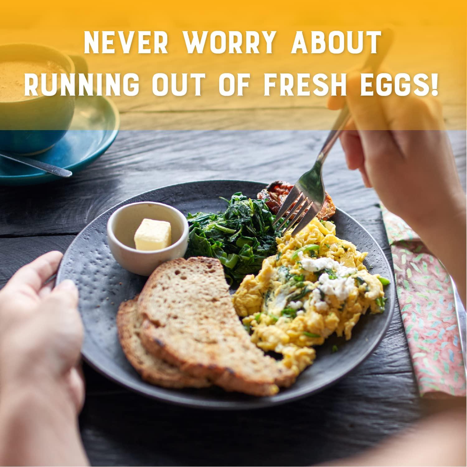 Judee's Gluten Free Judees Dried Whole Egg Powder 11 oz - Baking Supplies - Delicious and Gluten-Free for Breakfast, Baking, and Camping Meals - Simplifies Outdoor Cooking Preparation - Dried Eggs Powder