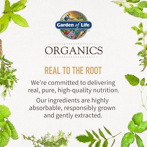 Garden of Life Garden of Life Mykind Organics Turmeric Inflammatory Response Gummy - 120 Real Fruit Gummies for Kids & Adults, 50Mg Curcumin (95% Curcuminoids), No Added Sugar, Organic, Non-GMO, Vegan & Gluten Free