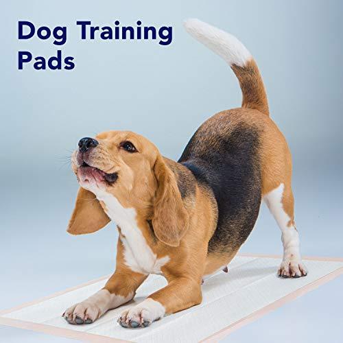 ProHeal Premium Disposable Chucks Underpads 25 Pack, 30" x 36" - Highly Absorbent Bed Pads for Incontinence and Senior Care - Peach Color - Leak Proof Protection