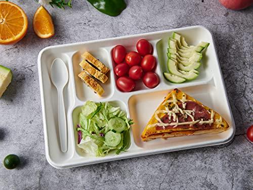 Vplus Vplus 100% Compostable 6 Compartment Plates, 90 Pack Compartment Paper Plate, 12.5 * 8.6 inch Disposable School Lunch Trays, Eco-Friendly Bagasse Plates for School Lunch, Buffet, and Party