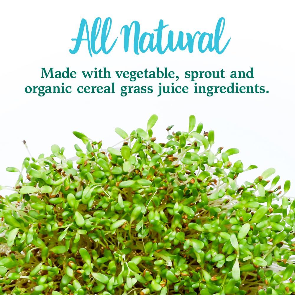 Garden of Life Garden of Life Perfect Food Super Green Formula - 30 Servings | 45 Superfoods, Greens, Fruit & Veggie Juice Superfood Powder Supplement, Probiotics & Organic Spirulina for Digestion & Immune Health