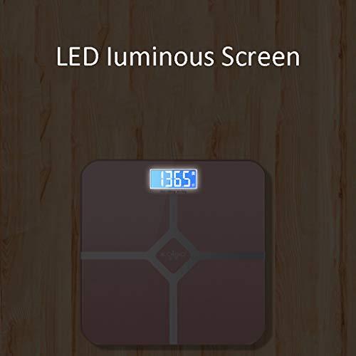 FKJLUN Bathroom Weight Scales Digital Body Weight Scale USB Charging Electronic Weighing Scale Bathroom Scale with Step-on Technology Highly Accurate Fat Scale (Color : Blue, Size : 28cm)