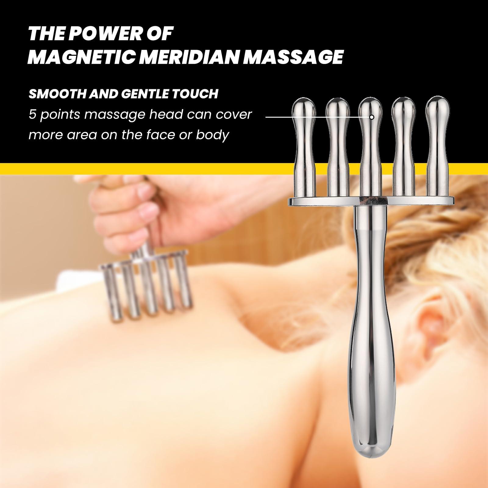 NSXAYIWE Magnetic Therapy Massage Fork, 5 Drainage Acid Pen Emotion Code Magnets, Magnetic Fork Meridians Points Massage Stick, Relaxing Body Massage Tool Healing Magnets (5)