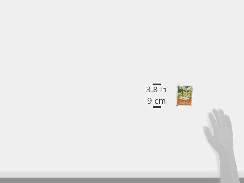 Ann Taylor 3-Pack of Instant Honeyed Ginger Drink 360g, Each Box, 20 Tea Bags,