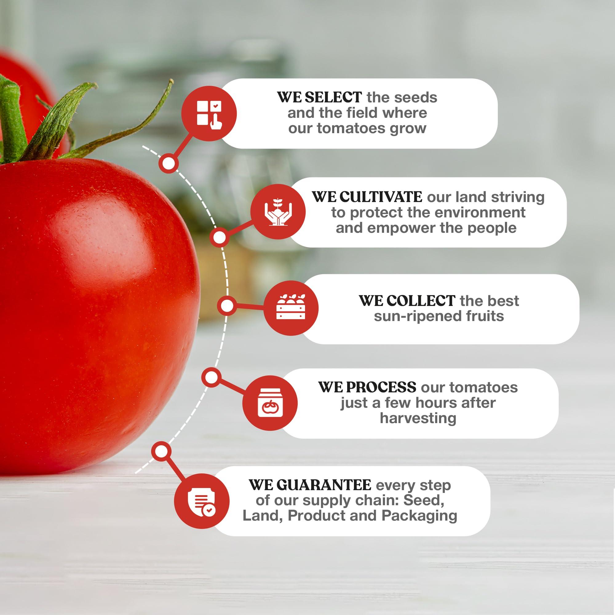 POMI\' Pom Organic Strained Tomatoes - Creamy, Velvety Puree - 100% Fresh Italian Tomatoes, Made in Italy - No additives, Kosher, Non-GMO, USDA Certified Organic - 26.46oz BPA-Free Carton (Pack of 12)