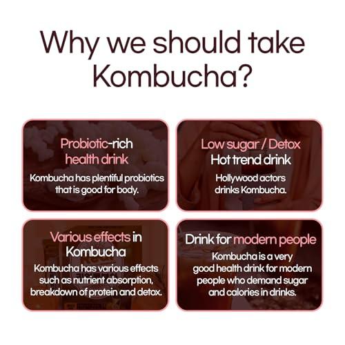 Funeat Funeat Real Kombucha Peach Flavor, Zero Sugar, Sparkling Fermented Powered Mix Beverage from Korea, 30 Sticks, 5 Ounce