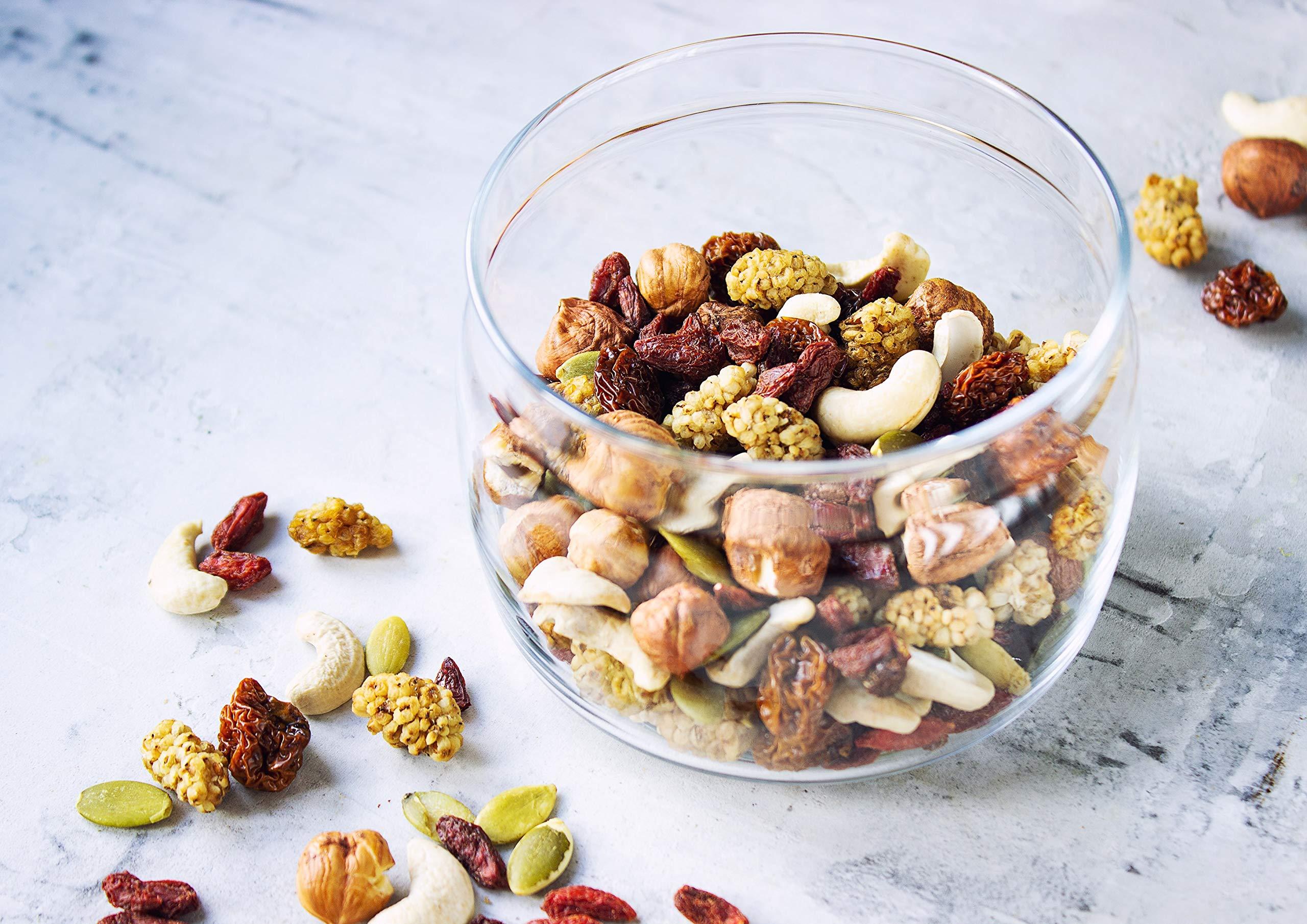 Food to Live Food to Live Organic Antioxidant Trail Mix, 1 Pound Contains Mulberries, Goji Berries, Golden Berries, Pumpkin Seeds, Hazelnuts, Cashews. Non-GMO.