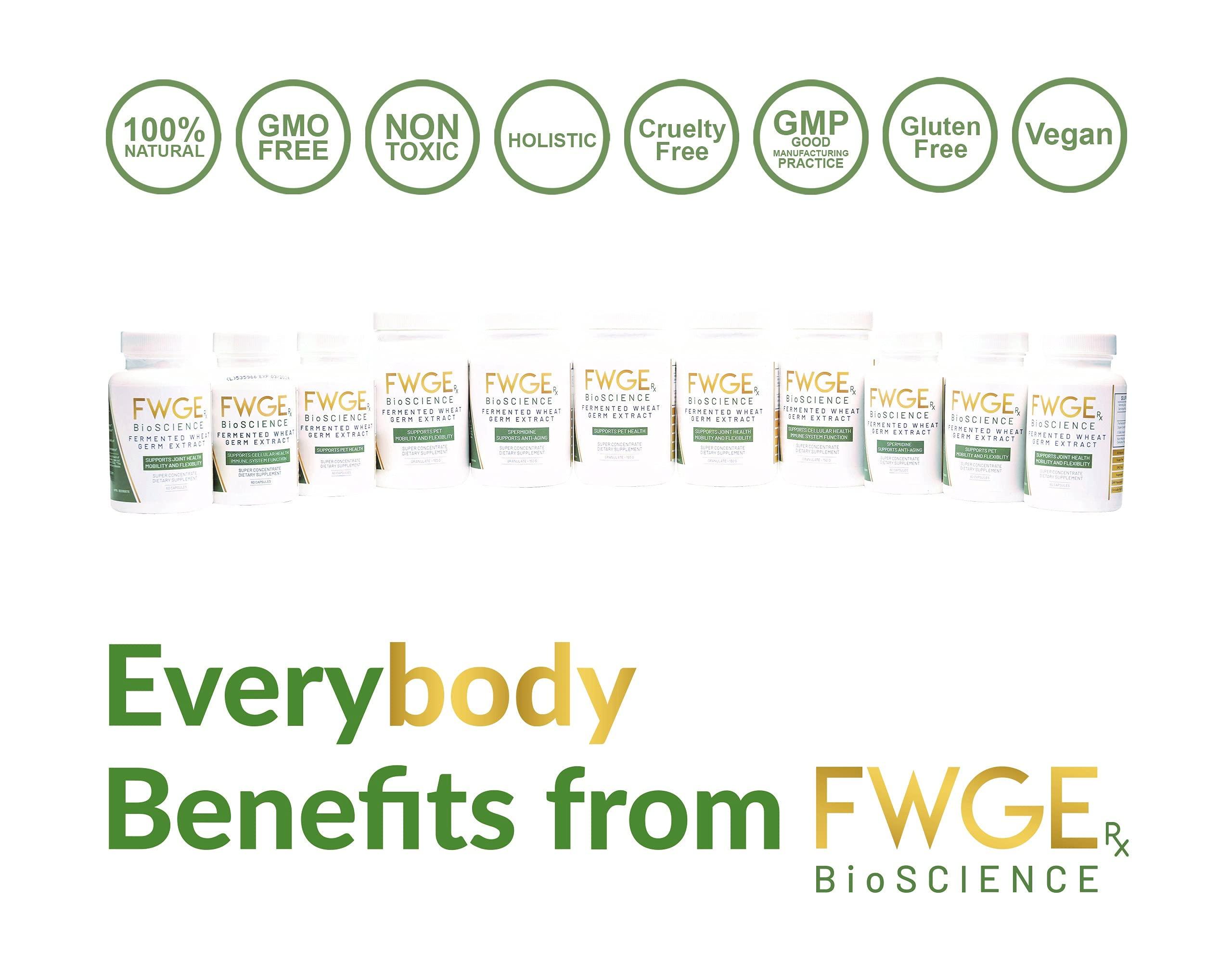FWGE Rx BioSCIENCE Spermidine Immune Defense and Cellular Health - Fermented Wheat Germ Extract, Vitality Inducer, Holistic, Non-GMO, Gluten-free, Sugar-free, Vegan, Antioxidant, Natural, 60 Capsules