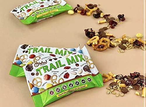 No Whey! Foods Vegan, Plant Based, Gluten Free Gourmet Chocolates | Santa\'s Truffle Collection (9 Pieces) | Dairy Free, Nut Free, Peanut Free, Soy Free | Allergy Friendly Gifts | By No Whey! Foods