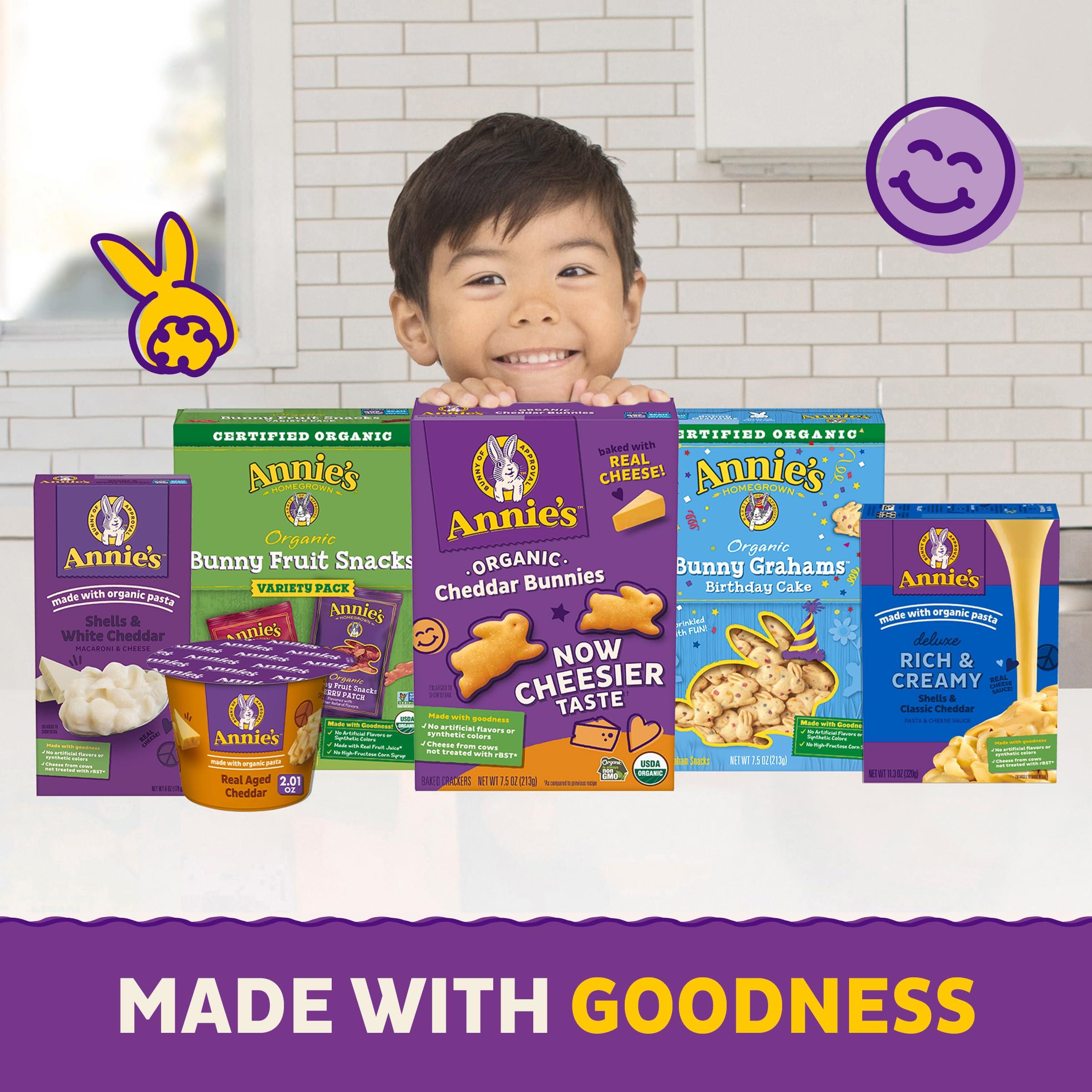 Annies Annie\'s Organic Berry Patch Bunny Fruit Flavored Snacks, Gluten Free, 10 Pouches, 7 oz.