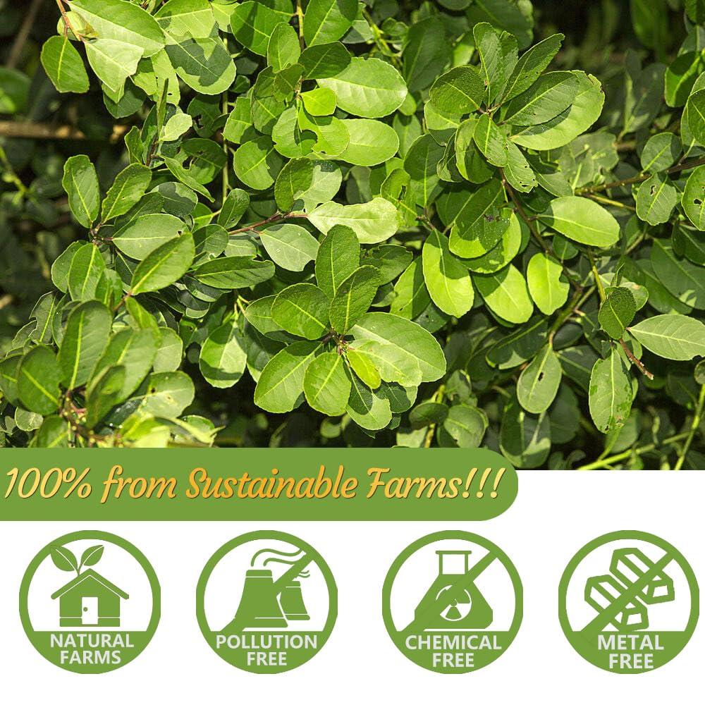 ULTHMOK Premium 100 Unsmoked Yerba Mate Tea Bags, Made with 100% Pure Yerba Mate Leaves, No Additives & Caffeine Free.