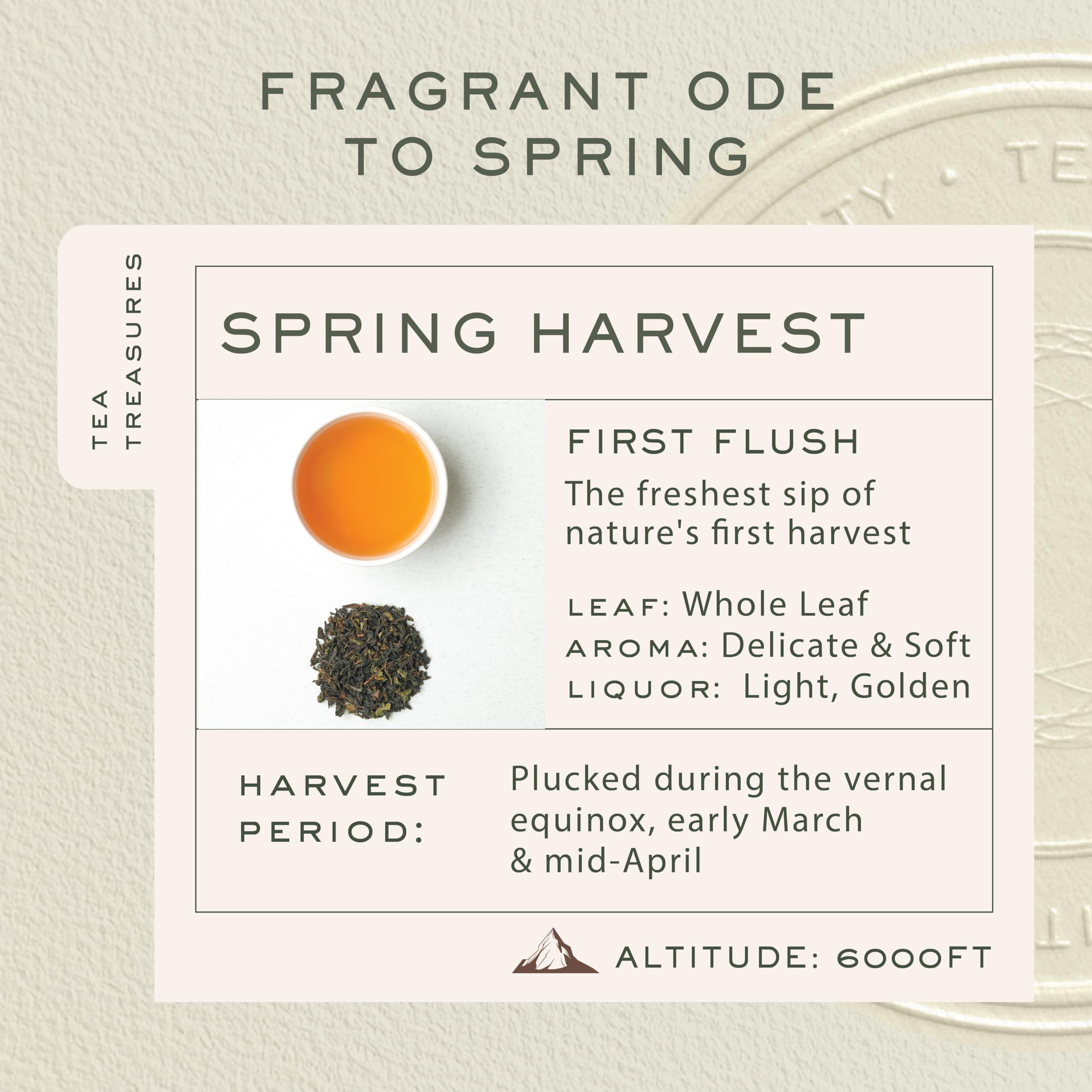 Makaibari Spring Time Bloom | Tin Caddy 100 gm | First Flush black Tea