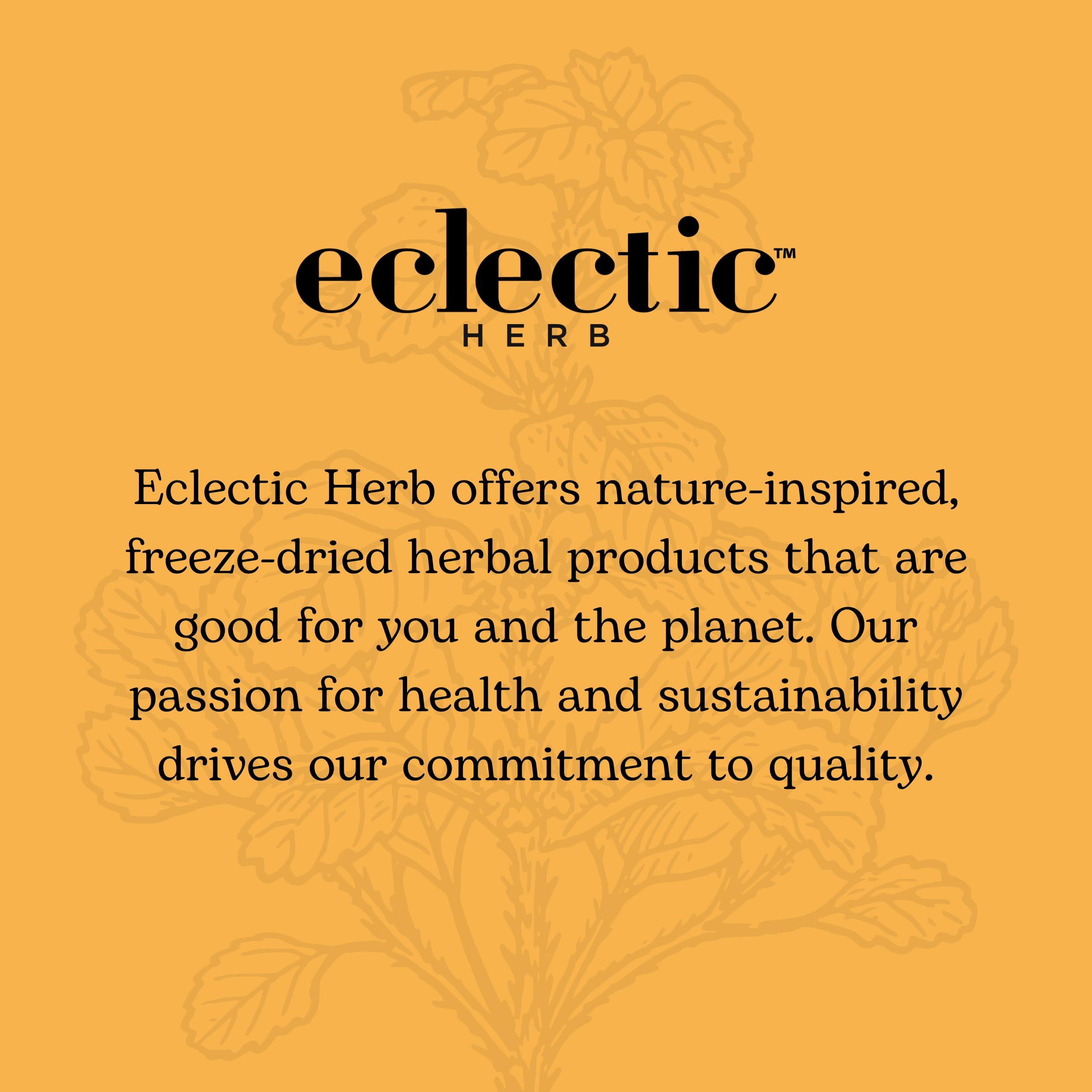 Eclectic Eclectic Herb - Milk Thistle Glycerite | Herbal Health Supplement | Non-GMO, Gluten-Free (1 fl oz | 30 ml)