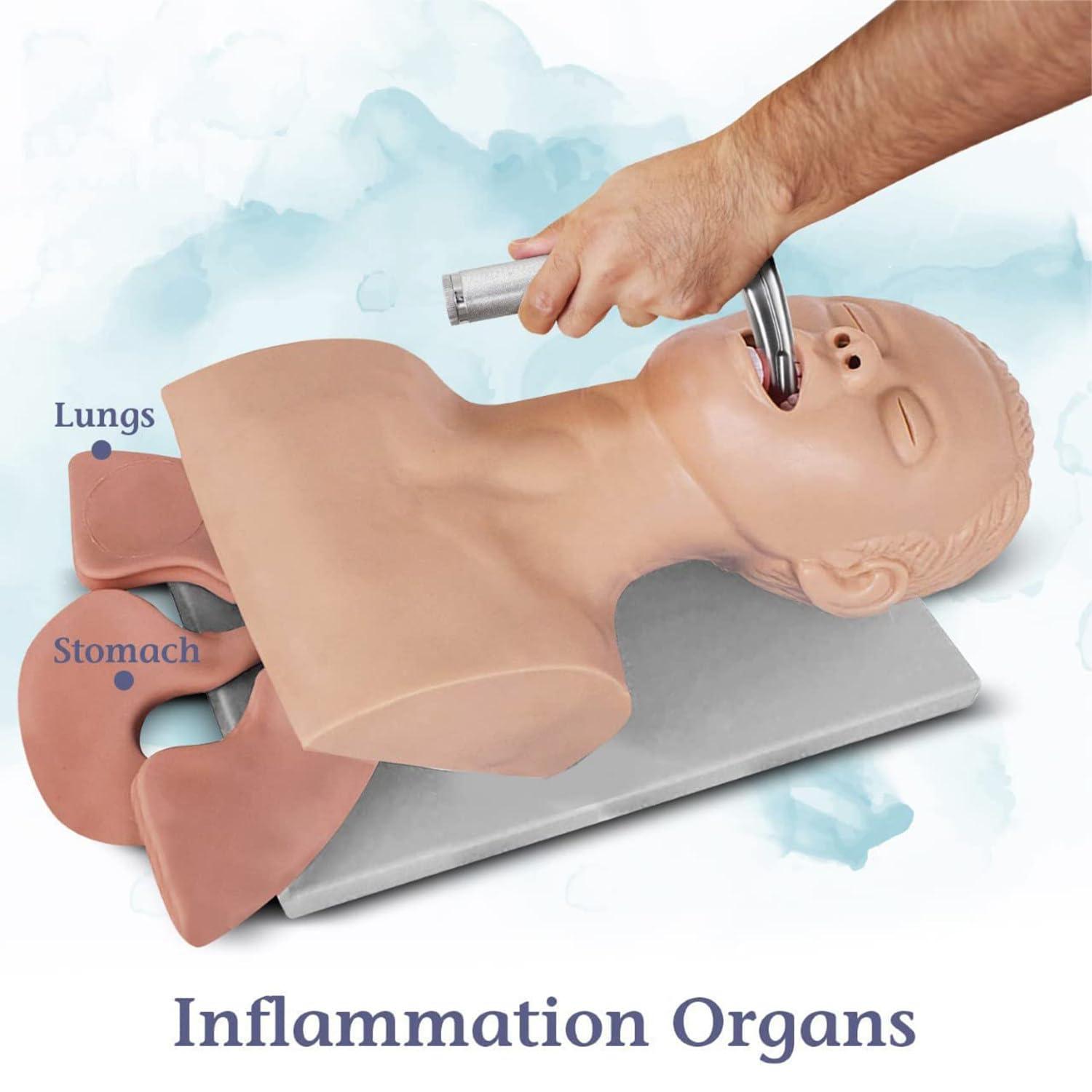 DAZULI Intubation Manikin Training Nursing Mannequin PVC Oral Nasal Intubation Manikin with Tooth Alarm Device Simulator Airway Management Trainer Intubation Head Teaching,220V